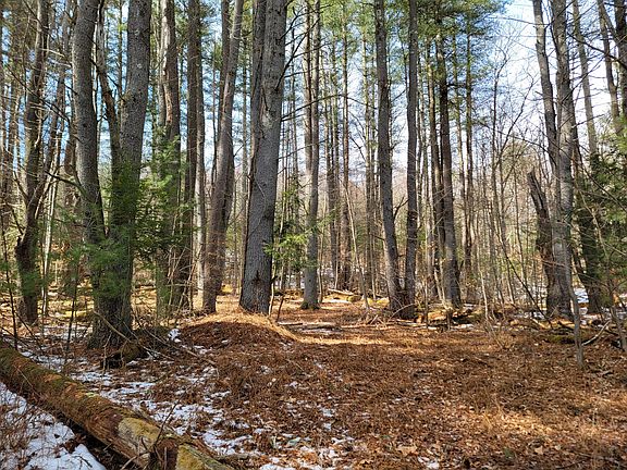 4th image of 2 Cranberry Creek Est