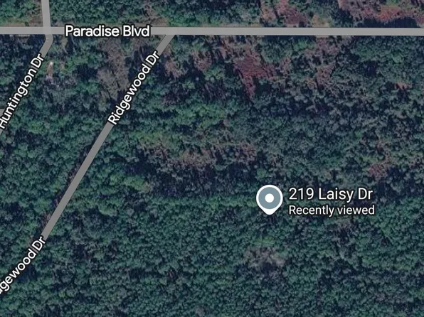 219 Laisy Dr, Georgetown, FL 32139