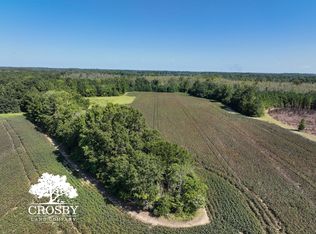Driggers Rd, Blenheim, SC 29516