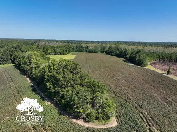 Driggers Rd, Blenheim, SC 29516