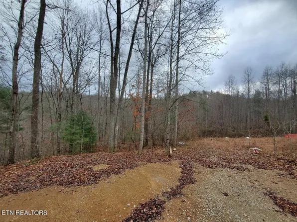 Forest Ln, Oneida, TN 37841