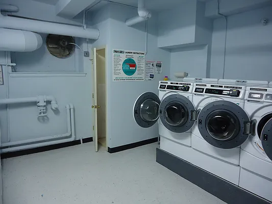 Rented by The Coop Connection LLC | media 31