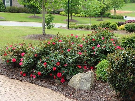 manicured loan