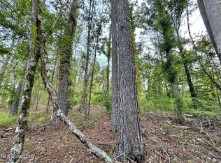 1 Prentiss Crump Rd, Terry, MS 39170