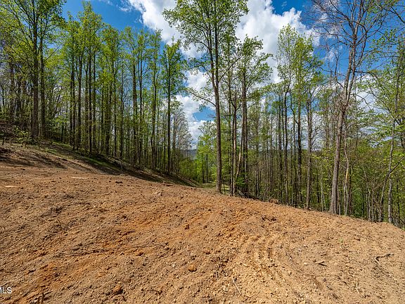 3rd image of 1 Ridge Top Ln
