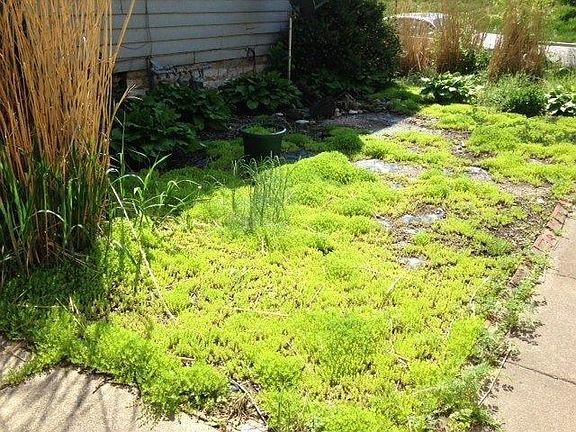 View of side yard