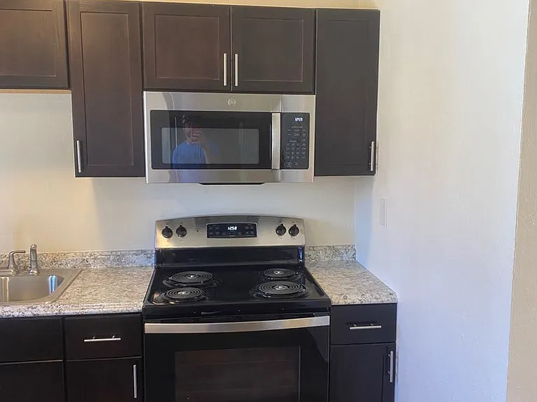 Newly Renovated 2BR | Courtyard & back patio | Lots of natural light — Photo 5