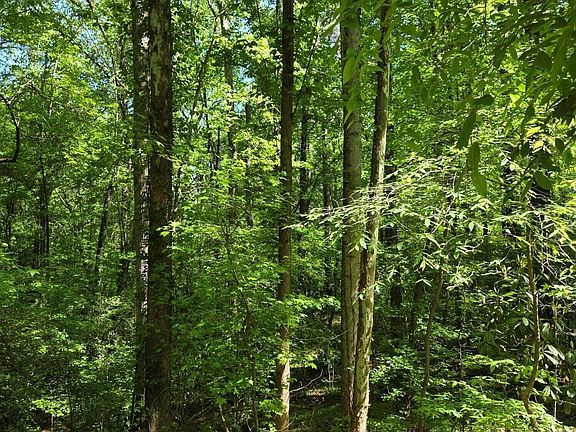 2nd image of 1898 Wood Valley Rd