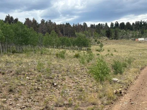 1625 Athapascan Rd, Hartsel, CO 80449