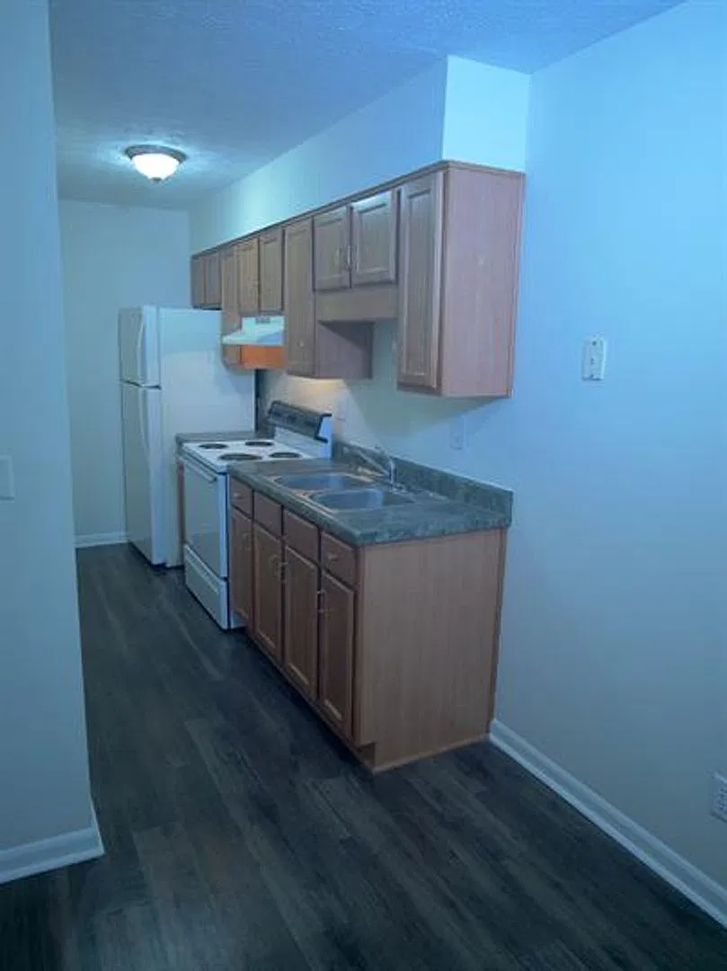 Elmwood Apartments- 1 and 2 Bedrooms w/ WD Hook Ups! — Photo 4