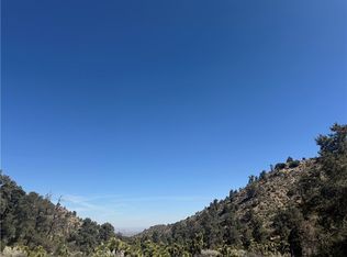 40124 Scenic Dr, Pinon Hills, CA 92372