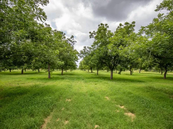 2432 County Road 402, Falfurrias, TX 78355