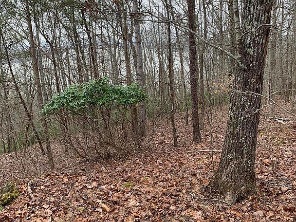 5th image of 174 Black Hawk Dr Lot 36 & 38