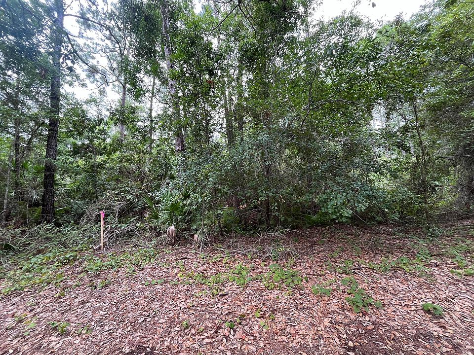 1st image of 223 Ward Avenue