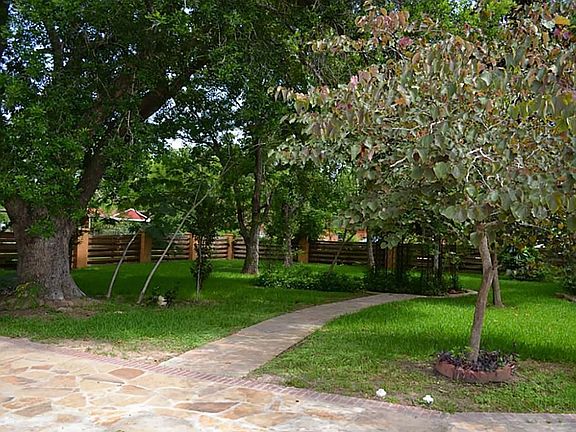 Lots of Beautiful Trees