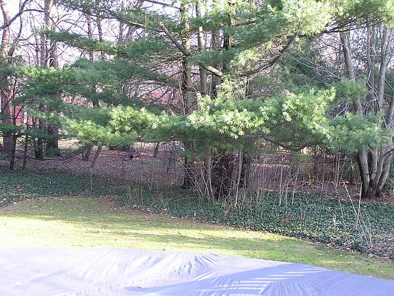 5th image of 4271 Aimee Ln