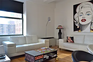 Rented by Platinvm Property Group New York