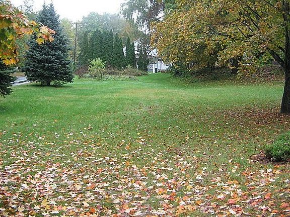 lower yard on S. Spencer Road
