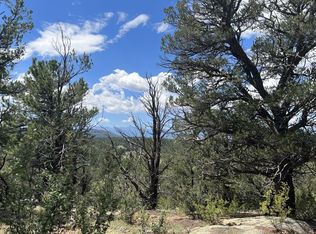 64 Elkhorn Dr, Cotopaxi, CO 81223