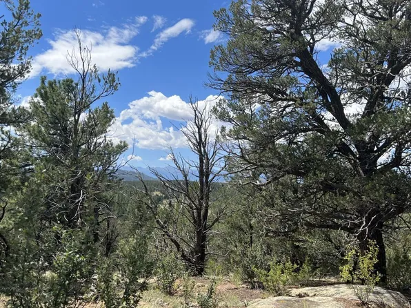 64 Elkhorn Dr, Cotopaxi, CO 81223