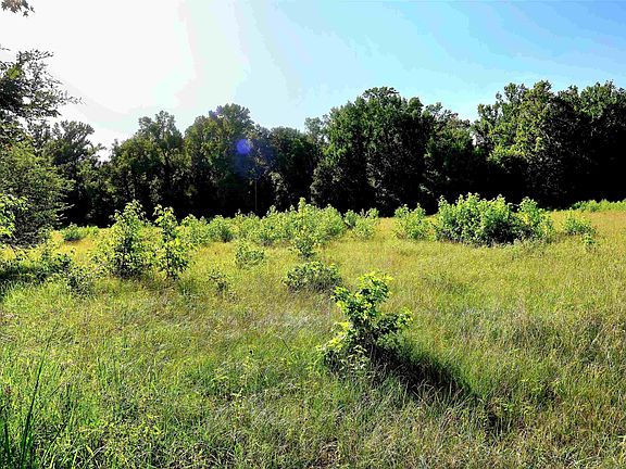 2nd image of County Road 1100