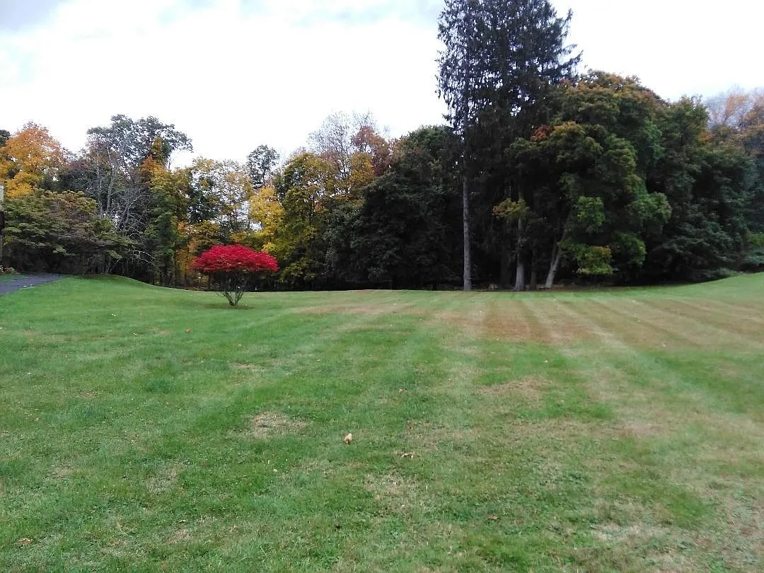 2 bed, 1000 sqft, $2,700 — Photo 4
