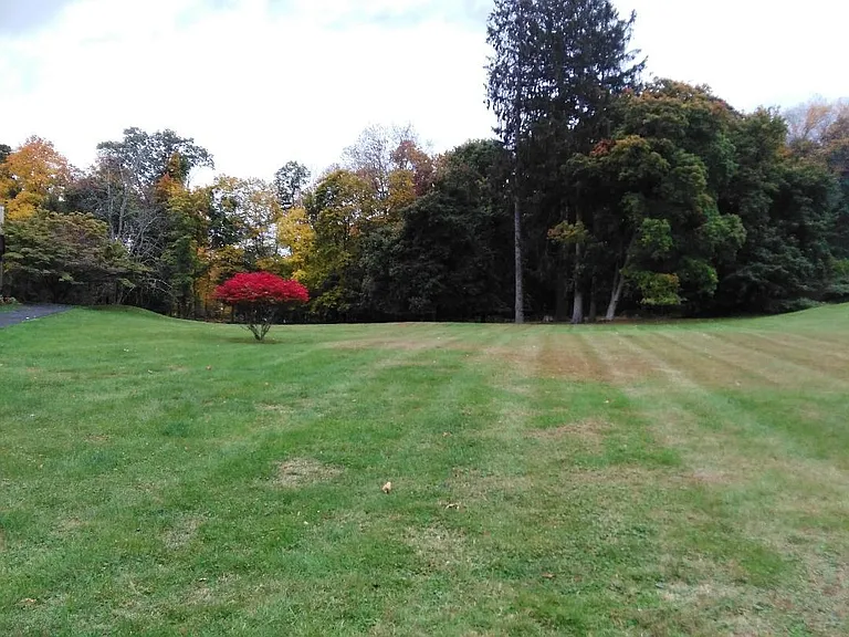 1100 Vista On The Lk — Photo 6