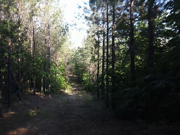 4th image of 2932 Old Hohenwald Rd Lot 76