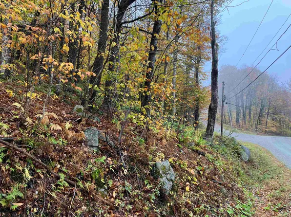 564 Upper Dam Road #M564 & M565, Wilmington, VT 05363-0253