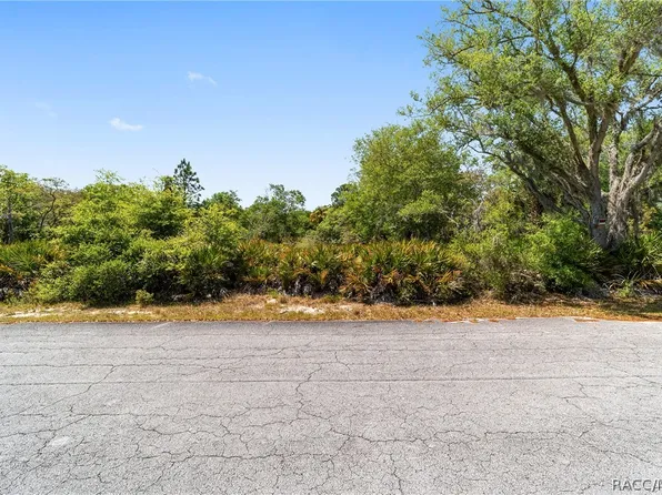 12577 W Rosemary Pl, Crystal River, FL 34428