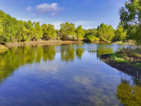 58 acres CR 386, Out of Area, TX 76634