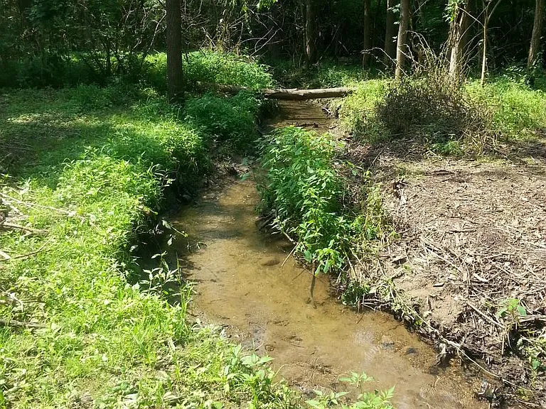 Meandering Creek