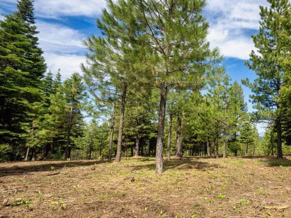 3 To Be Determined, McCall, ID 83638