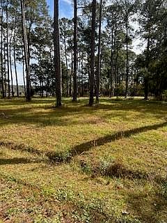 2nd image of 0 Bolen Point Rd