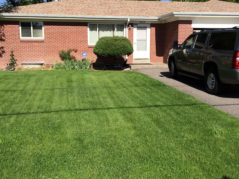 Front Yard