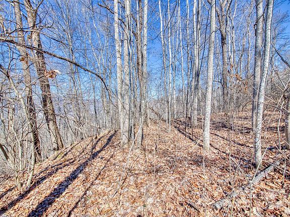 4th image of 114 Trails End Ln