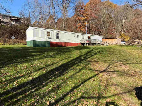 156 Buckskin Dr, Elkins, WV 26241