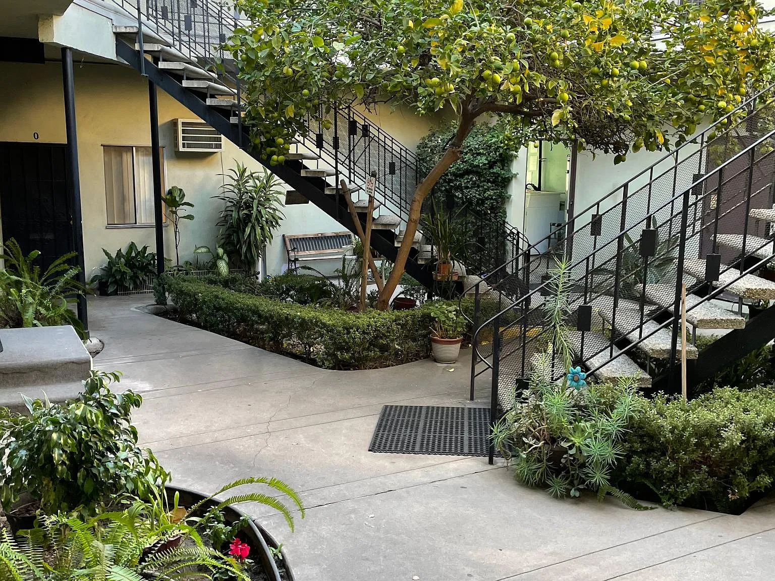 2 bed, $3,000 — Photo 2
