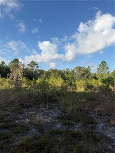 136 Dummonds Rd Lot 85, Frostproof, FL, 33843