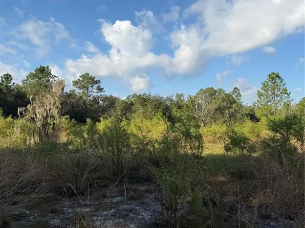 136 Dummonds Rd Lot 85, Frostproof, FL 33843