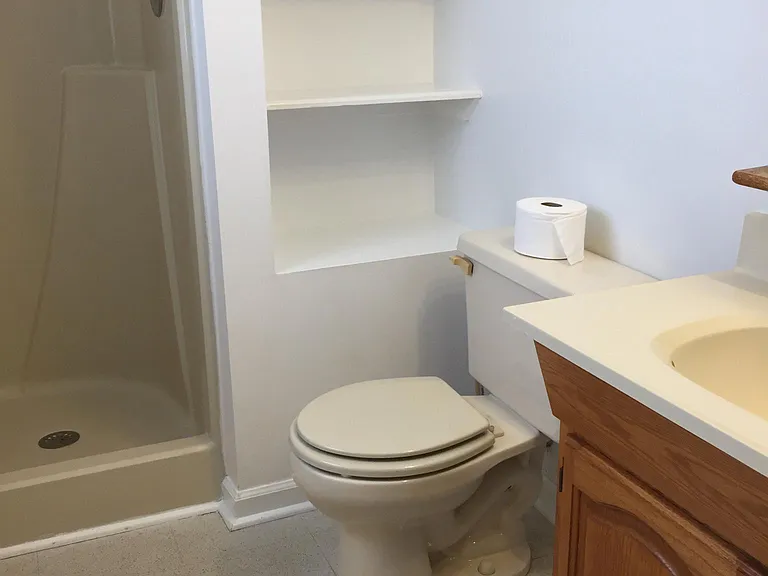 Lower level bath off the large room downstairs