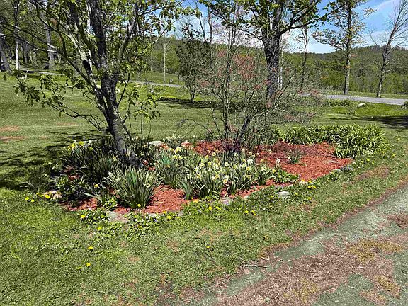 4th image of 2276 Mount Hunger Road