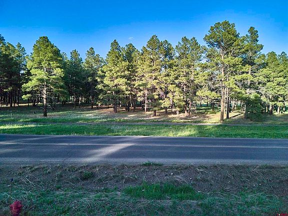 5th image of 1575 N Pagosa Boulevard