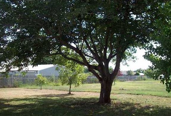 5th image of 121 Green Pasture Dr