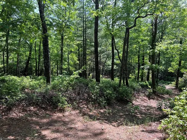 9 Laurel #9, Purlear, NC 28665