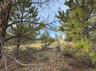 155 Whip Way, Hartsel, CO 80449