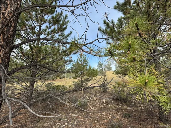 155 Whip Way, Hartsel, CO 80449