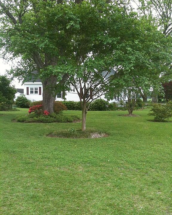 Side Yard