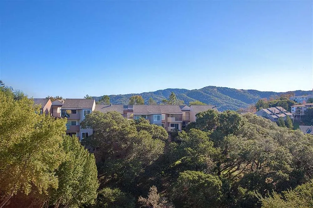 View At Marin — Photo 4