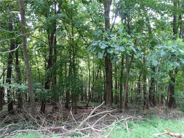00 & 02 Moscow Rd, Amity, PA 15311